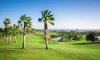 golf del sur